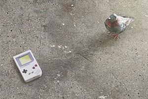 Открытый чемпионат по тетрису в Торонто