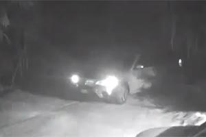 BMW сам уехал ночью по дрова