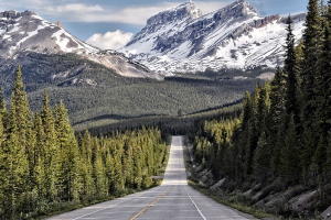 Иммиграционная фирма получала 170 тысяч за фейковые предложения о работе