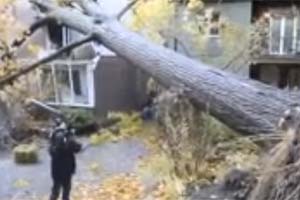 Последствия урагана Sandy