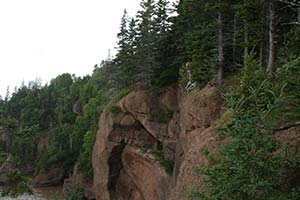 2013-й год - год сокращения долгов