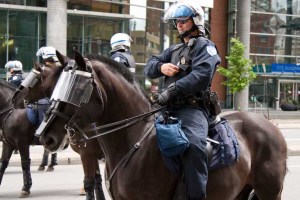 Полиция задержала 43 тонны гашиша