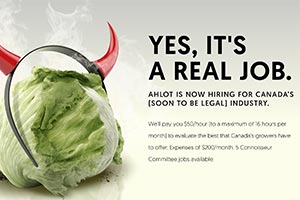 Хотите работать дегустатором марихуаны?