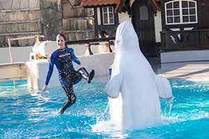 Канадцы довольны своей работой