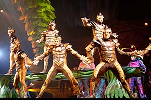 Распродажа Cirque du Suleil