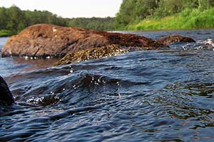 Девушка утонула в свадебном платье