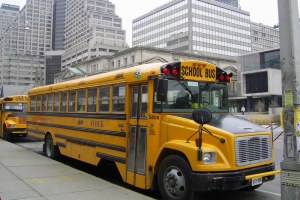 В школу теперь можно носить вшей