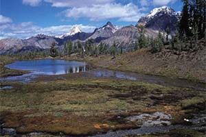 Британская Колумбия возвращается к PST
