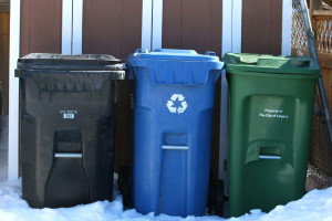 Возможные останки человека найдены в мусорном баке