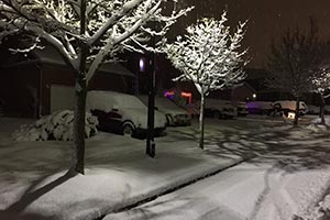 Нелегальное пересечение границы не ускорит иммиграции