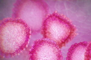 Коронавирус в Канаде