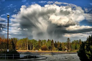 Новая пилотная программа для иммигрантов