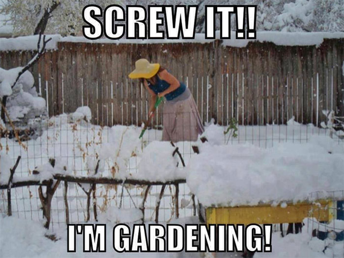 К черту все, пора сажать