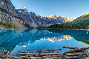 Больше, но недостаточно иммигрантов