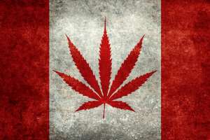 Либералы поделили доходы от марихуаны