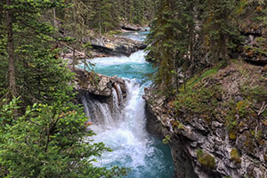 Канада эффективно управляет экономической иммиграцией