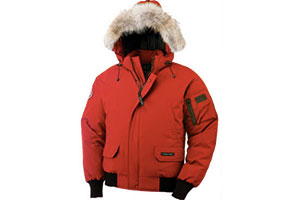 Canada Goose против Sears