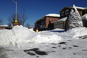 В Торонто ожидаются заморозки