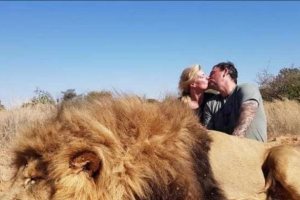 Поцелуй на фоне мертвого льва