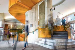 Студенты смогут выбирать свое имя и пол