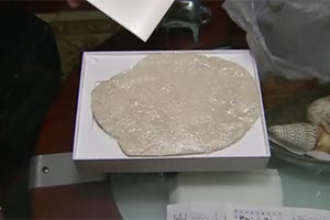 Wallmart продал вместо iPad кусок глины в коробке