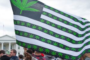 Канадцы не смогут ехать в США курить марихуану