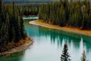 В Канаде нашли останки 215 детей