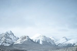 Канада на первом месте для иммиграции среди американцев