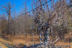 Дерево из ботинок