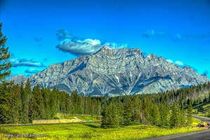 Альберта хочет отделиться от Канады