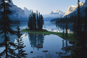 В Альберте работают дольше всех