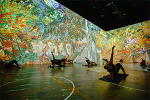 На выставке Ван Гога фитнесс лучший экспонат