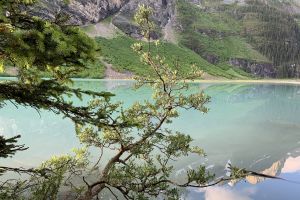 Канада пригласила 4,200 иммигрантов