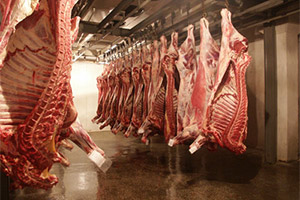 Свободная торговля Канады с Европой