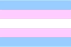 Флаг транссексуалов над Торонто