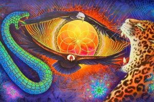 Религиозные группы смогут импортировать аяхуаску