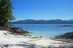 Следы первобытных людей в BC