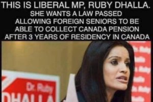 Фейк - Либеральная пенсия всего после трех лет жизни в Канаде?