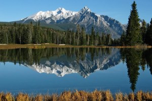 Альберте нужны рабочие места