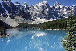 Не многие выбирают Альберту своим домом