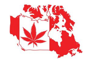 Работники сферы марихуаны могут ехать в США