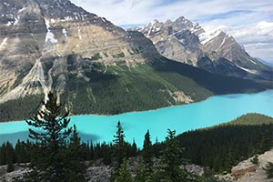 Альберта сокращает расходы в парках