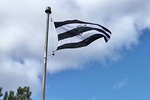 Флаг гетеросексуалов сняли в Нью Брансвике