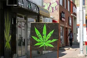 Калгари – конопляная столица Канады
