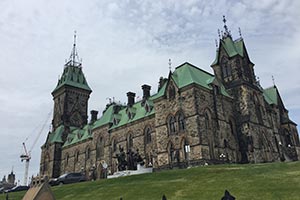 NDP проголосует против досрочных выборов