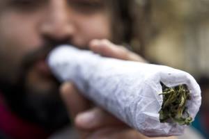 Торонто против водителей под марихуаной