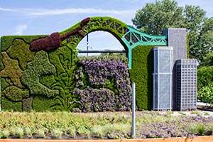 Большинство интернов - женщины