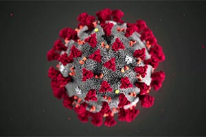 5-й случай коронавируса в Онтарио