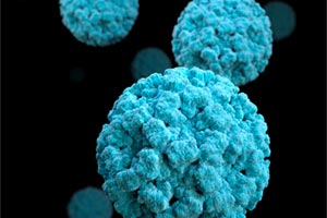 Первая смерть от коронавируса в Онтарио