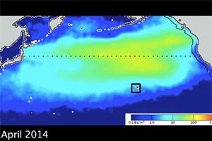 Радиация достигла Британской Колумбии